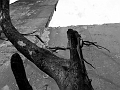 corneroftheend