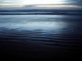 walport05_5