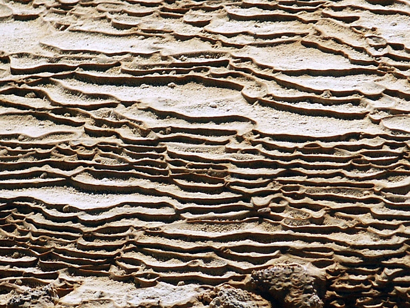 MineralMud.JPG
