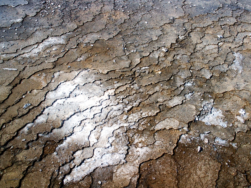 ReflectedCracks.JPG