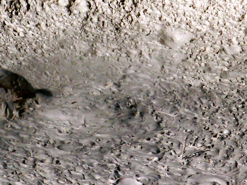 Sequence1.JPG